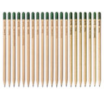 Matita Sprout in legno sostenibile con mina in grafite. Piantabile dopo l'utilizzo